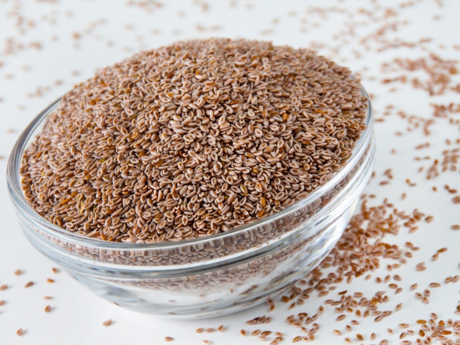 Psyllium Seeds